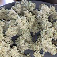 Review Image - Grape Walker Kush Auto Feminised Seeds