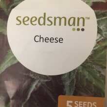 Review Image - Cheese Feminised Seeds