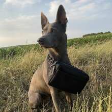 Przejrzyj obraz - Gassi Bauchtasche - Schwarz