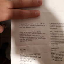 Image de révision - OGKZ Feminised Seeds