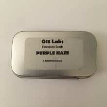 Image de révision - Purple Haze Feminised Seeds - 5