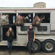 Review Image - (Open-box) Women's Heated Down Vest - Slim Fit (Battery Set Not Included) Black / M