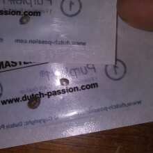 Überprüfen Sie das Bild - Purple #1 Feminised Seeds