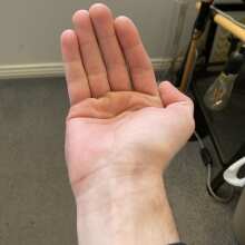 Überprüfen Sie das Bild - Strawberry Gum Auto Feminised Seeds