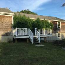 Review Image - Holland's Hope Feminised Seeds