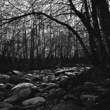 Ilford XP2 Super 400 120 Film Reformed Film Lab