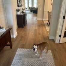 Review Image - Nakan Signature / Enhanced / Box