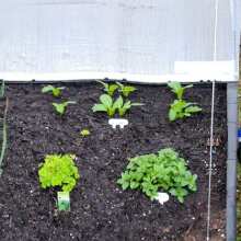 Vegepod Perlite-Plus 50L