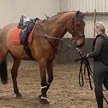 Beoordelingsafbeelding - Kavalkade Bodyprotector Sir Lancelot Zwart XL