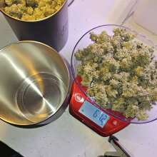 Image de révision - Witches Wedding Ltd. Edition Feminised Seeds - 3