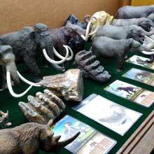 Review Image - Eofauna Columbian Mammoth