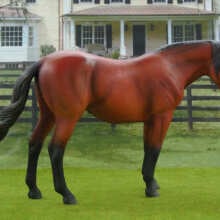 Review Image - CollectA Lusitano Mare Bay Deluxe Scale