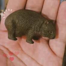 Review Image - CollectA Wombat