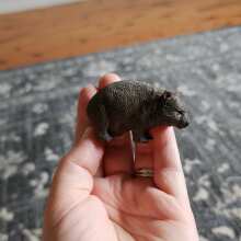 Review Image - CollectA Wombat