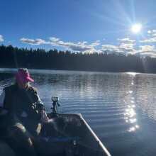 Review Image - Bloody Skunk Auto Feminised Seeds - 5