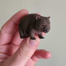 Review Image - CollectA Wombat