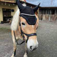 Beoordelingsafbeelding - Kentucky Oornetje Wellington Stone & Pearl Black Full