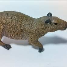 Review Image - CollectA Capybara