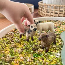 Review Image - Schleich Sheep Friends