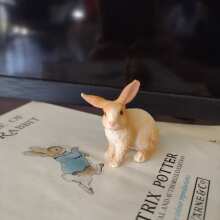 Review Image - Schleich Rabbit