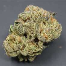 Review Image - Alaskan Purple Feminised Seeds - 3