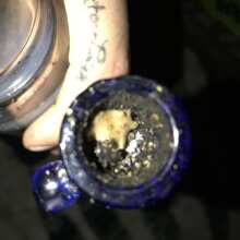 Image de révision - Ice Dream Cake Feminized Seeds