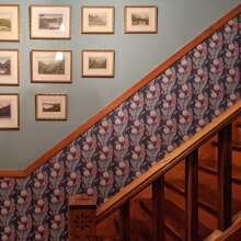 Review Image - Dandelions Wallpaper - Non-woven Wallpaper , Deep Autum Night , Roll