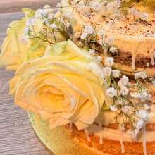 Überprüfen Sie das Bild - SuperDrip Weiß