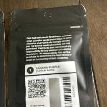 Image de révision - Original Cheese Auto Feminised Seeds - 3