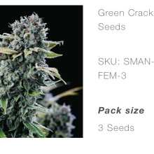 Überprüfen Sie das Bild