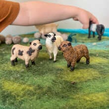 Review Image - Schleich Sheep Friends