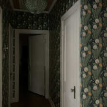 Review Image - Dandelions Wallpaper - Non-woven Wallpaper , Summer Nights , Roll