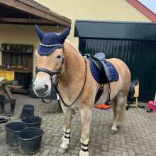 Beoordelingsafbeelding - Kentucky Oornetje Wellington Stone & Pearl Dark Navy Full