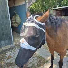 Beoordelingsafbeelding - Shires Vliegenmasker met Neusflap en zonder Oren Black Pony