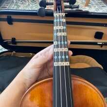 Review Image - McNeela Maestro Violin