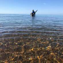 Review Image - Palm Hydro