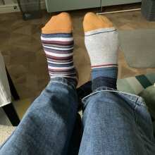 Review Image - Wyatt Eco Stripe Socks Multi Pack Foxberry Size 7-11