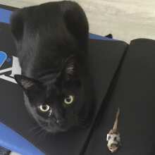 5KB 2001 2003 2 days ago