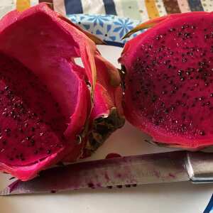 Exotic Mixed Dragonfruit / Pitaya Box *Nationwide Shipping* – The Farmers  On Wheels