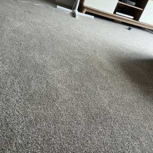 Harrisons Carpet & Flooring 5 star review on 14th January 2024