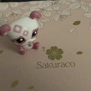 Sakuraco 5 star review on 12th April 2024