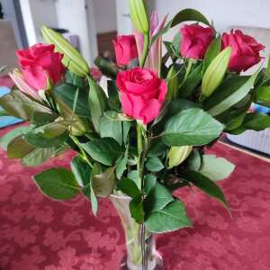 place  a review for prestige flowers 5 star review on 1st May 2024