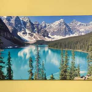 Easy Canvas Prints 5 star review on 30th January 2023