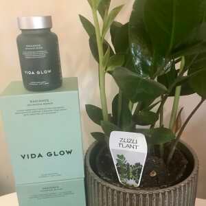 Vida Glow 5 star review on 30th October 2021