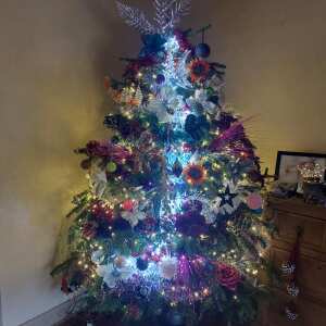 Christmas Trees Preston 5 star review on 3rd December 2021