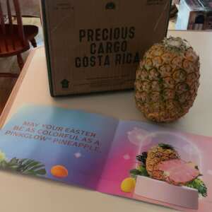 Tropical Fruit Box 5 star review on 1st April 2024