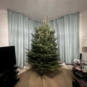 Christmas Trees Liverpool 5 star review on 9th December 2022