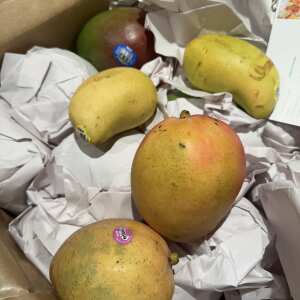 Tropical Fruit Box 5 star review on 13th March 2024