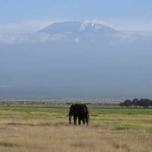 East Africa Wild Adventures Ltd 5 star review on 2nd March 2024