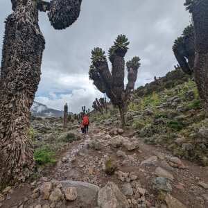 Adventurehero 5 star review on 25th March 2024